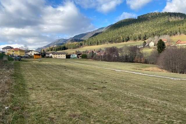 Wunderbares Baugrundstück im Naturdorf Prigglitz!, Grund und Boden-kauf, 75.000,€, 2640 Neunkirchen