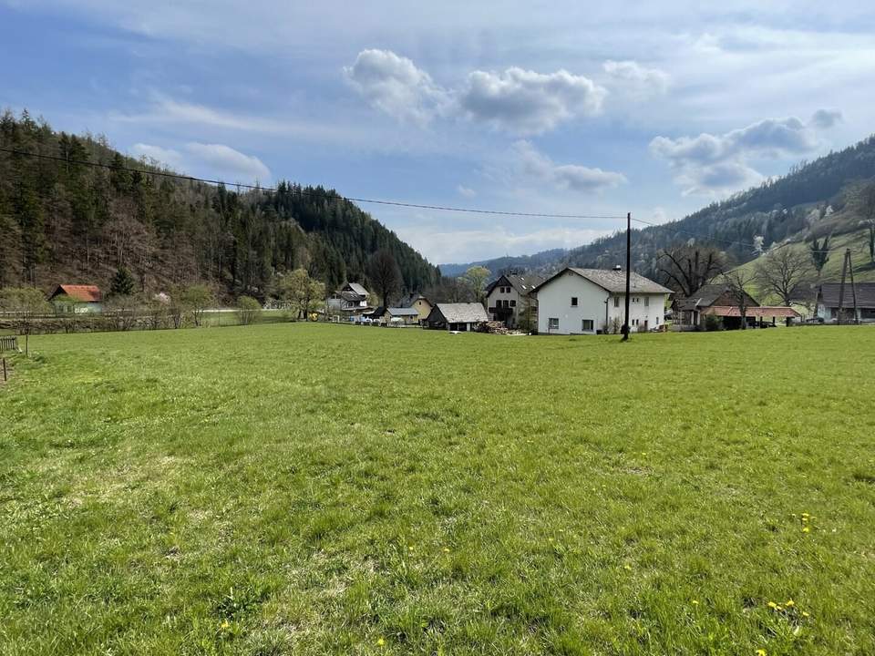 KAINACH BEI VOITSBERG - SONNIGER BAURECHTSGRUND