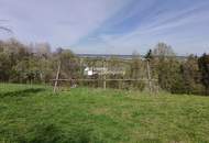 Rarität in Thermennähe! Altes Bauernhaus in unverbaubarer, ruhiger, sonniger Lage mit großem Baulandgrundstück, Wald und Wiese