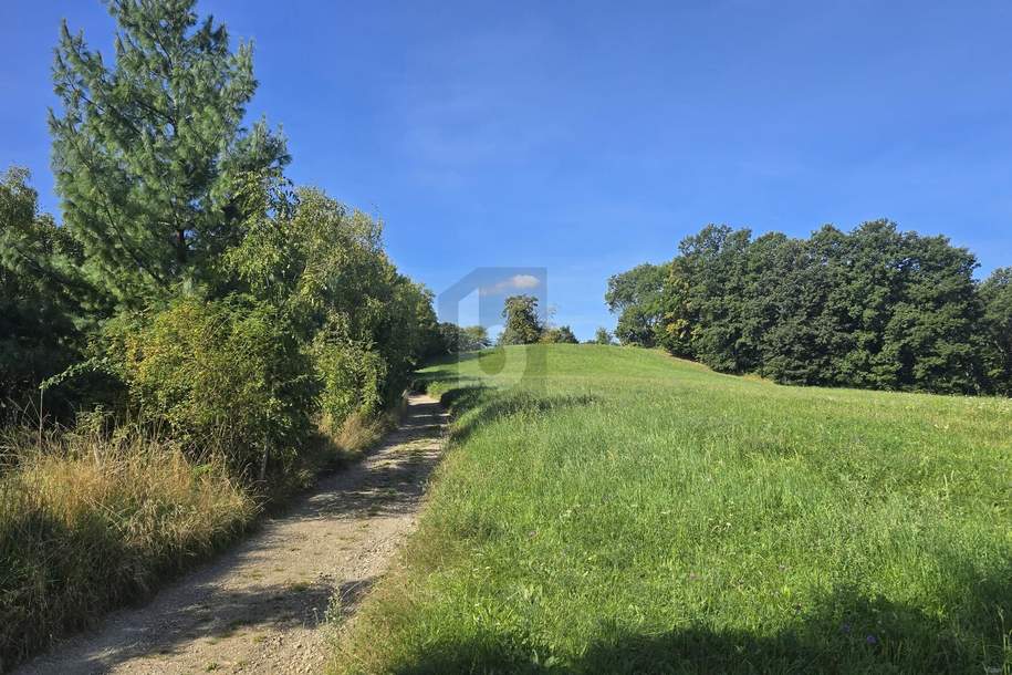ROMANTISCHER GRUND MIT GRÜNLANDWIDMUNG, Grund und Boden-kauf, 140.000,€, 2391 Mödling