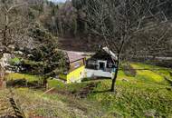 HandwerkerIn gesucht im kleinen Yspertal: liebenswertes Haus unweit von Nöchling