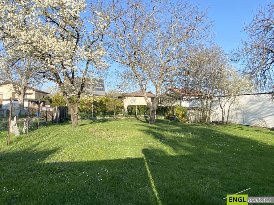 "großzügiges Baugrundstück direkt im Ortskern"