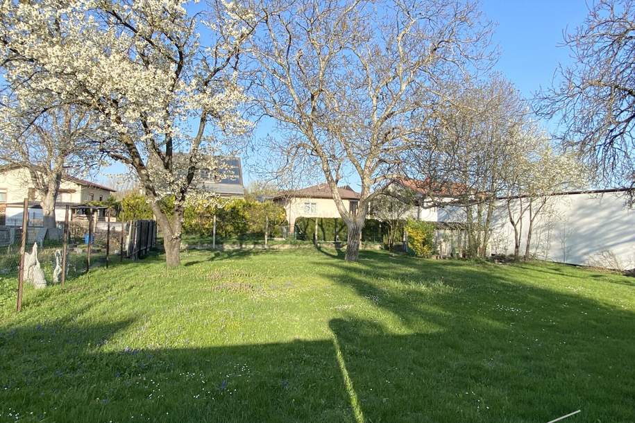 "großzügiges Baugrundstück direkt im Ortskern", Grund und Boden-kauf, 339.000,€, 2440 Bruck an der Leitha