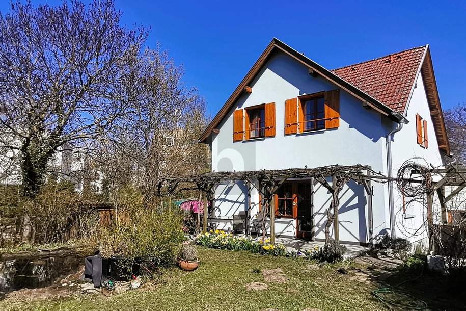 FAMILIENHIT - SOMMER WIE WINTER EIN GENUSS AM FLUSS, Haus-kauf, 620.000,€, 2460 Neusiedl am See