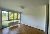 Traumhafte Wohnung mit Terrasse und Weingartenblick in absoluter Ruhelage