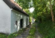 Einzigartige Möglichkeit, Weingarten mit ehemaligem Presshaus und Kellerröhre