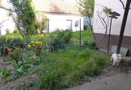 Viel Platz in 2 Häusern - zu einem unschlagbaren Preis