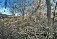 Charmanter Weinkeller mit Grünfläche im Weinviertel