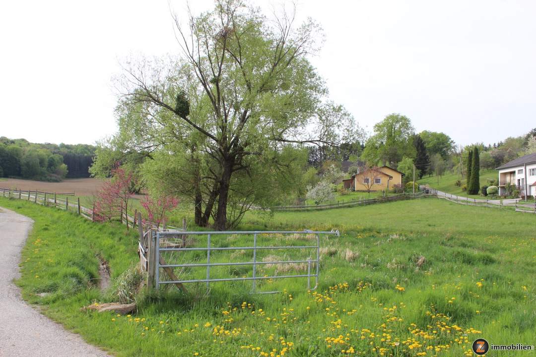 Neustift bei Güssing: Baugrundstück (BD) in sehr schöner Lage