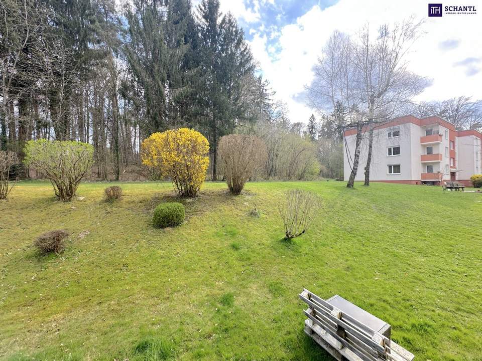 Großzügige 4-Zimmer-Wohnung mit 2 Balkonen in Waltendorf, separater Küche &amp; Autoabstellplätzen – Berliner Ring 18, 8045 Graz