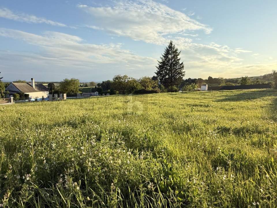 PANORAMABLICK IN TOP RUHELAGE MT SÜD-WEST AUSRICHTUNG