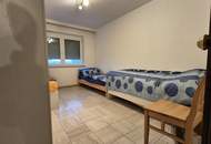 Wohnen und Arbeiten unter einem Dach in Wr. Neudorf