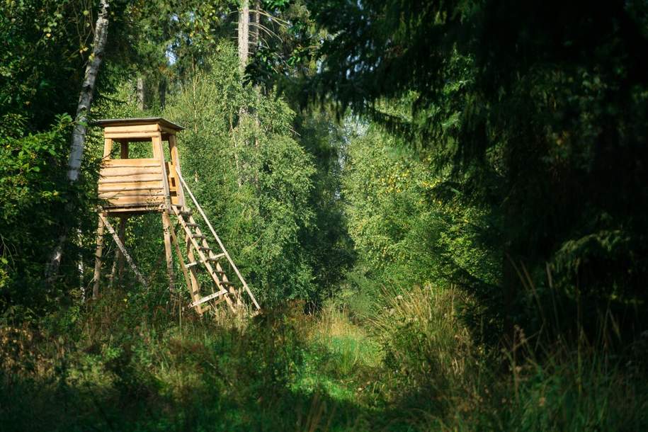 Exklusives Waldgrundstück in Döbling, Nähe Krapfenwaldbad, Grund und Boden-kauf, 800.000,€, 1190 Wien 19., Döbling