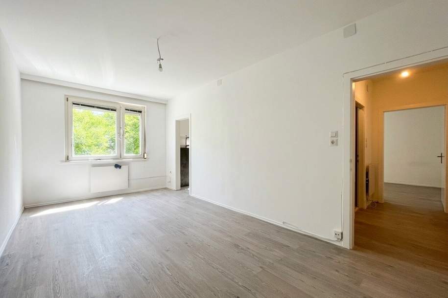 Attraktive Anlegerwohnung - ca. 3,5% Nettorendite, befristet vermietet!, Wohnung-kauf, 195.000,€, 1100 Wien 10., Favoriten