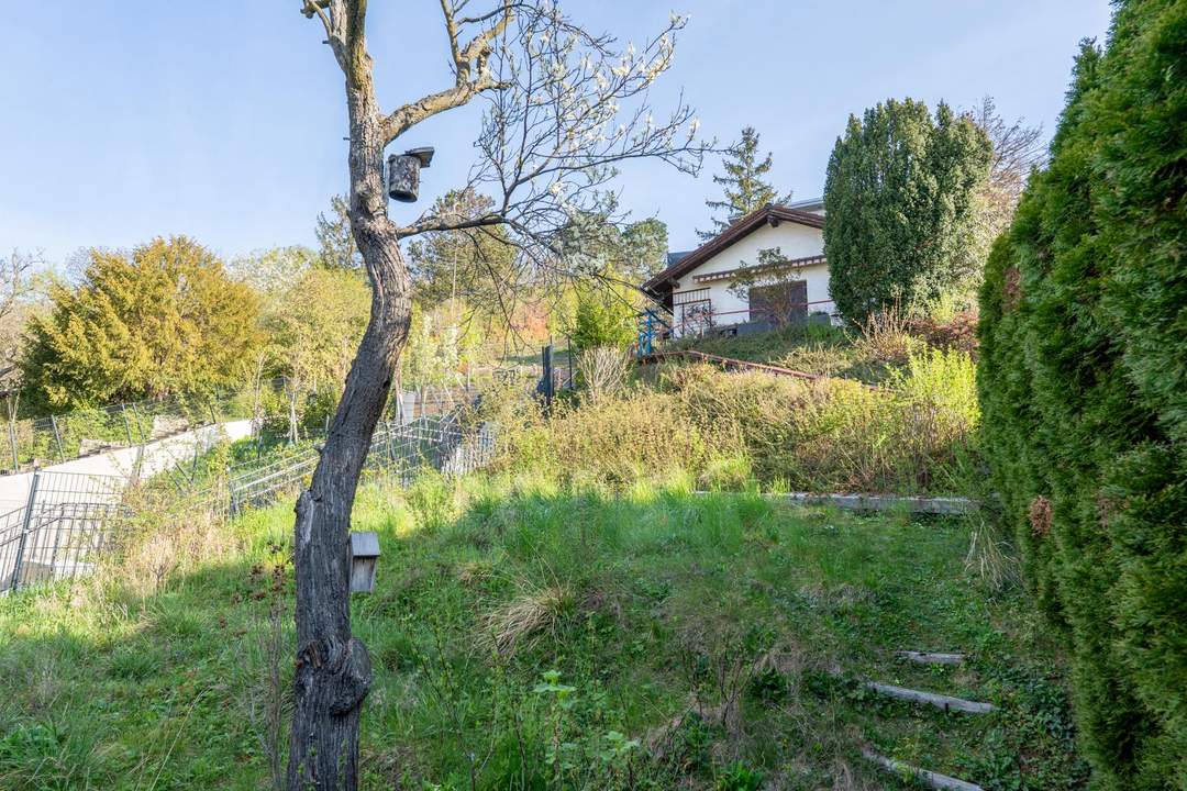 „Besitzen statt träumen: Ihr Gartenparadies am Hackenberg“