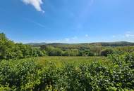 Traumhaftes großes Grundstück mit perfektem Weitblick in Siegenfeld