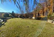 LANDHAUS MIT GROSSEM, SONNIGEN GRUND AM WALDRAND