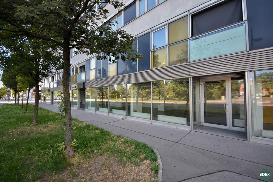 Geschäftsfläche – 310 m² am Erlaaer Platz, Gewerbeobjekt-miete, 3.305,75,€, 1230 Wien 23., Liesing