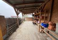 Charmanter Bungalow in erhöhter Ruhelage am Rande von Ybbs!