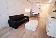 STEPHANSPLATZ-NÄHE, möbliertes 35 m2 Apartment, 1 Zimmer, Kochnische, Duschbad, Parketten, 3. Liftstock, Rotenturmstraße