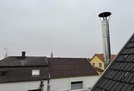 Wohlfühloase in Rust: Renoviertes Haus auf 620 m² Grundstück