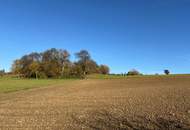 Einfamilienhaus mit neuem Zubau nahe Schärding