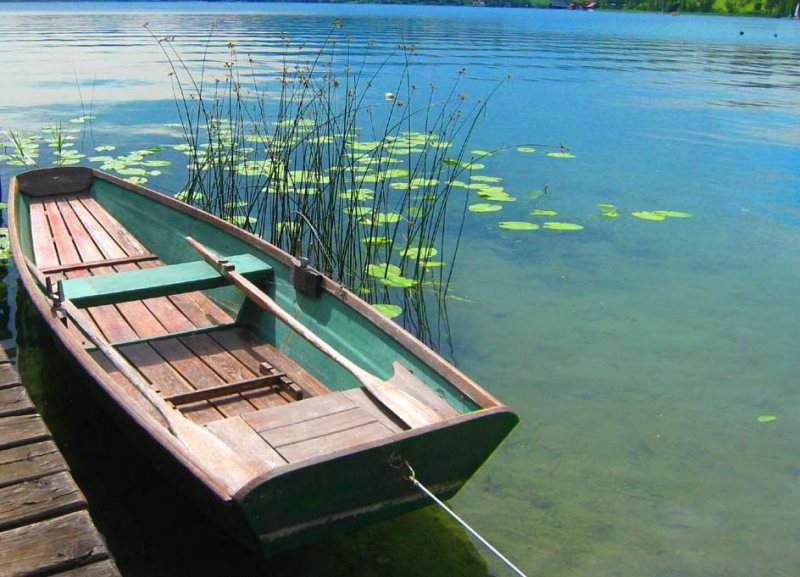 Wunderbarer Seegrund am Faaker See