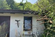 Bauernhaus im Weinviertel mit großem Grundstück!!