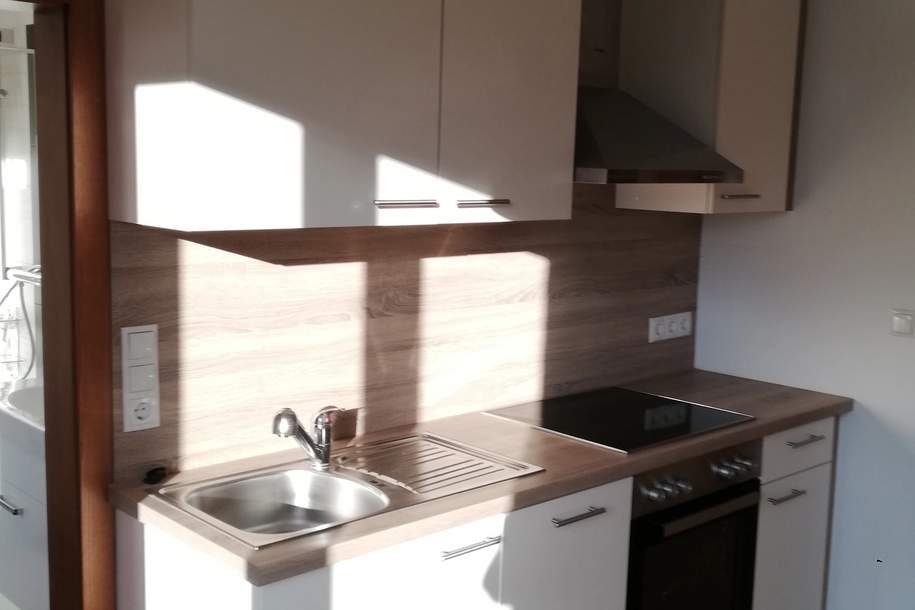 Charmante 2-Zimmer-Wohnung in Graz-Andritz – Komplett Renoviert! (Provisionsfrei), Wohnung-kauf, 169.000,€, 8045 Graz(Stadt)
