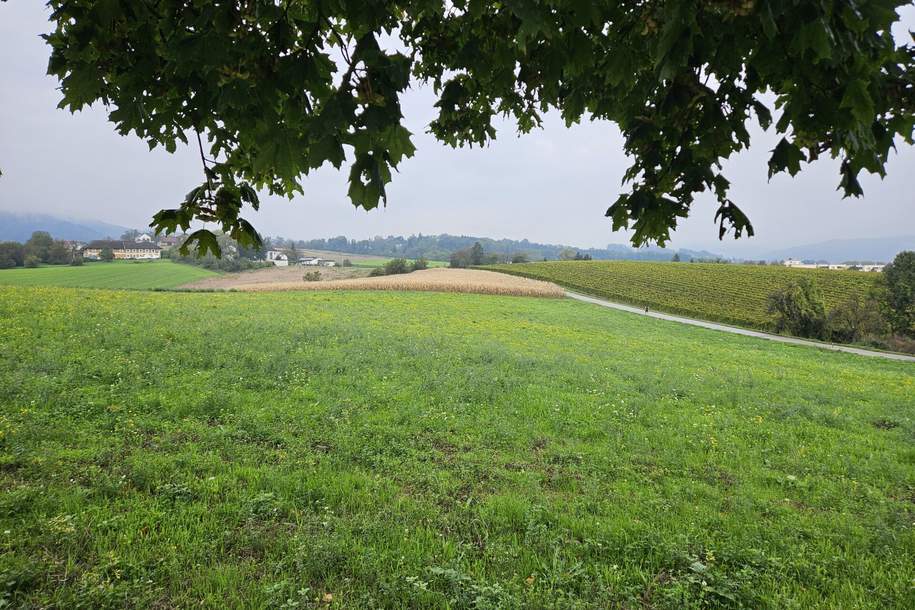 Landwirtschaftliche Nutzgründe - 3 Grundstücke, Grund und Boden-kauf, 4060 Linz-Land