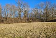 Sonniges Grundstück mit Ausblick – 991 m² in St. Valentin, keine Bauverpflichtung