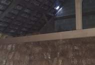 2014 Puch - Bauernhof für Wohnen und Gewerbe - 30 min von Wien !