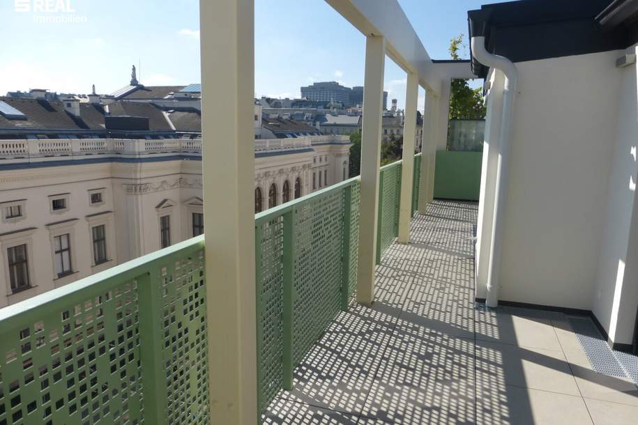 UNBEFRISTET! Erstklassiges Penthouse mit Palais-Blick und 50 m² Terrasse beim Liechtensteinpark - MIETZINSVORAUSZAHLUNG!, Wohnung-miete, 2.998,00,€, 1090 Wien 9., Alsergrund