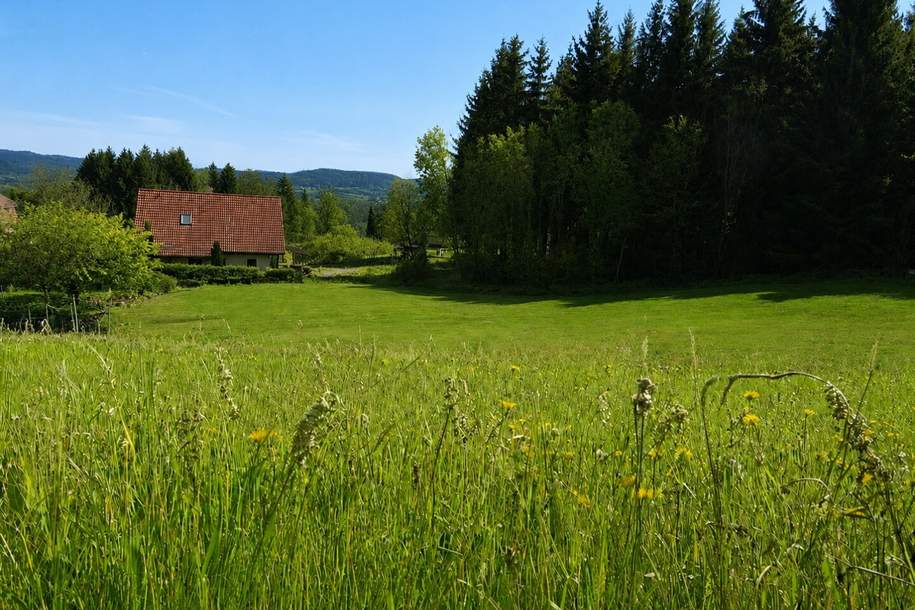 Baugrundstücke mit Wald und eigener Quelle - Nähe Golfclub Erzherzog Johann, Grund und Boden-kauf, 81.800,€, 8591 Voitsberg