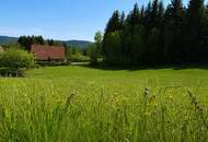 Baugrundstücke mit Wald und eigener Quelle - Nähe Golfclub Erzherzog Johann