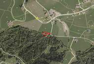 Ihr Traumhaus in Doren - Naturverbunden wohnen mit Panoramablick