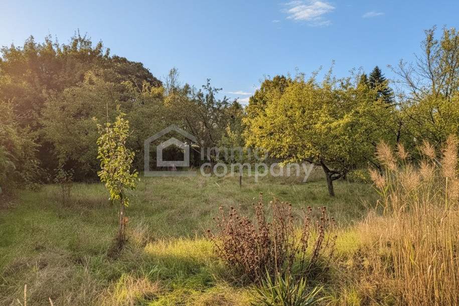 🌿 Wunderschönes Grundstück in bester Lage – vielseitig bebaubar mit zwei Wohneinheiten, Grund und Boden-kauf, 390.000,€, 2721 Wiener Neustadt(Land)
