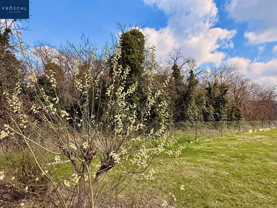 Baugrundstück in Altenburg – ruhige Wohnlage nahe Horn im Waldviertel