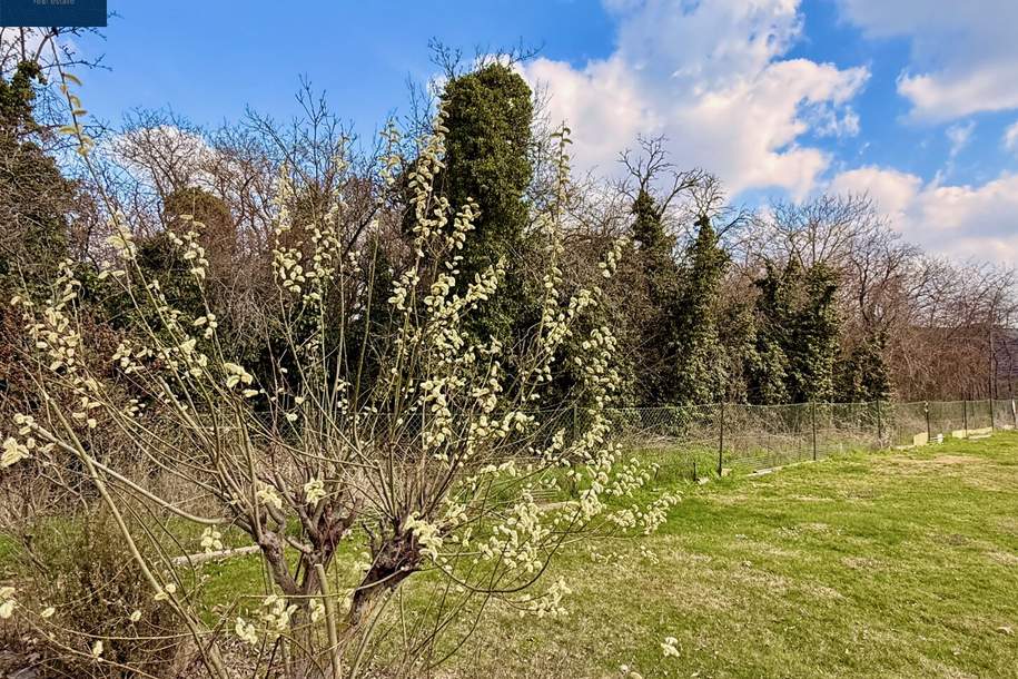 Baugrundstück in Altenburg – ruhige Wohnlage nahe Horn im Waldviertel, Grund und Boden-kauf, 86.000,€, 3591 Horn