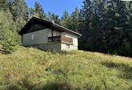 Ruhig gelegenes Einfamilienhaus in Mönichkirchen mit großem Grundstück