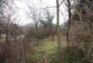 Verbuschtes Baugrundstück in Hanglage ohne Bauzwang !