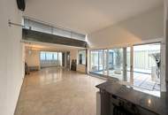 Modernes Atelier, Loft, Dachterrasse im Neunzehnten // Modern Studio, loft, roof terrace in the nineteenth //