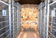 RESERVIERT - RUHIGE SINGLE-ALTBAUWOHNUNG MIT GEMEINSCHAFTSGARTEN NAHE U6 JOSEFSTÄDTER STRASSE