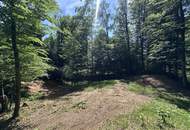 Naturnah wohnen in der Südsteiermark