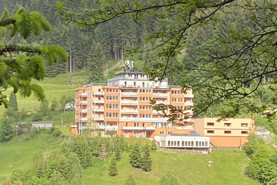 Schöne Wohnung in Bad Gastein mit Traumaussicht, Wohnung-kauf, 259.000,€, 5640 Sankt Johann im Pongau