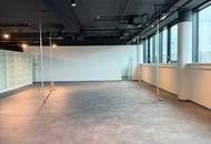 Neue top moderne Ausstellungsfläche in 1230 Wien