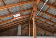 Landhaus Engelhartstetten- zwei Wohnungen, großes Grundstück- zusätzlicher Neubau möglich