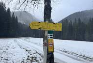 GROSSZÜGIGES LANDHAUS IN TOPZUSTAND BEI MÜRZSTEG