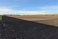 "BAUhoffnungsTELEFON"