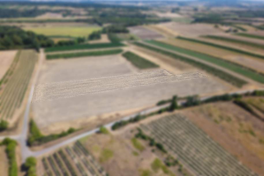 Landwirtschaftliches Grundstück in der KG Bockfließ - 4277m2, Gewerbeobjekt-kauf, 29.939,€, 2213 Mistelbach